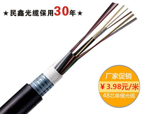 48芯室外單模光纜，GYTA/GYTS-48B1.3 G652D纖芯